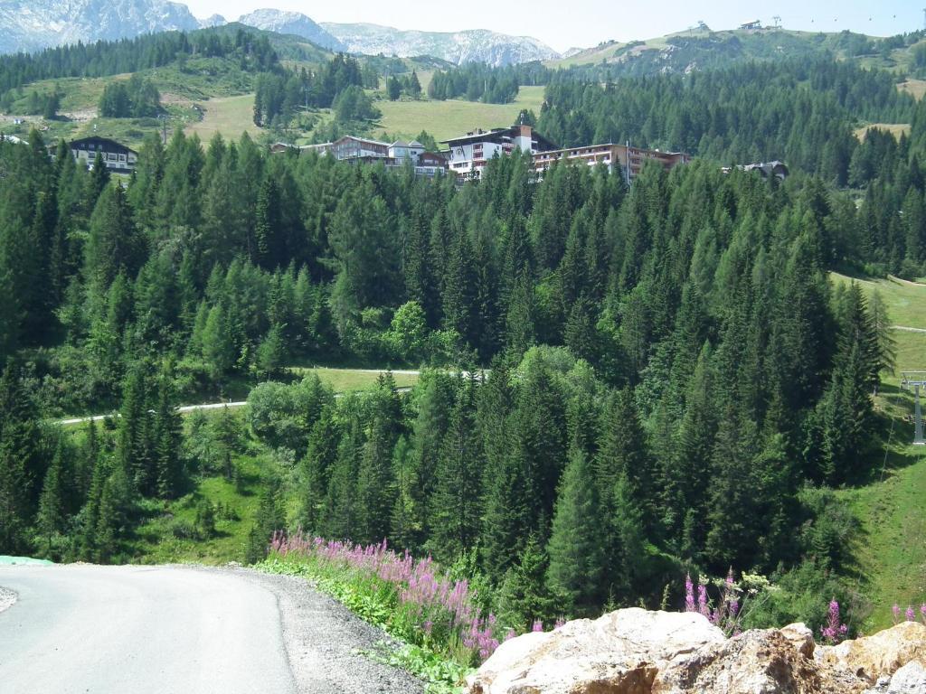 Nassfeld Apartments - "Traditionell Anders" Sonnenalpe Nassfeld Pokój zdjęcie